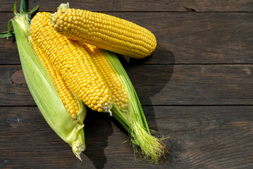 Close up view of raw corn cobs on wooden surface