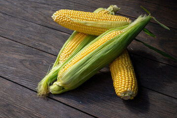 Fresh corn on cobs on rustic wooden table, closeup. Top view with copy space