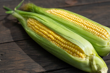 Fresh corn on cobs on rustic wooden table, closeup. Top view with copy space