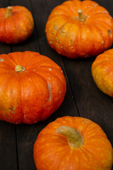 Ripe ginger pumpkin isolated on a burred unfocussed grass background. Autumn concept with pumpkin. High quality photo