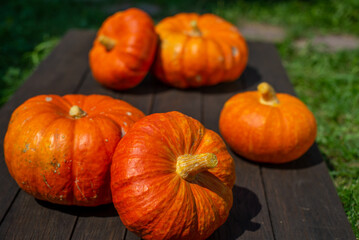 Close up view of cut pumpkin on wooden surface and nature background. Copy space
