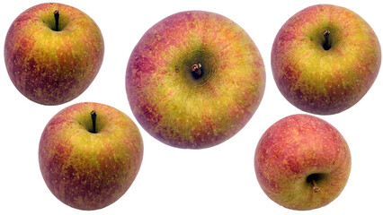 りんごの切り抜き素材／apple cutout material／사과 자르기 소재／PNG