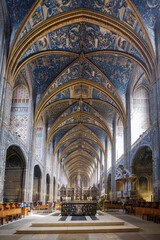 La Cathédrale Sainte Cécile d'Albi 
