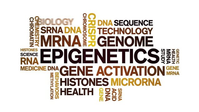 Epigenetics animated word cloud;text design animation tag kinetic typography seamless loop.