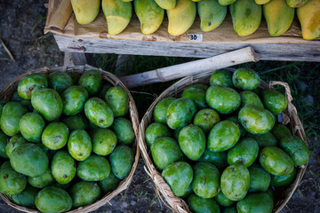 Buckets Of Green Mango For Sale