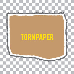 ripped white paper on a black isolated background vector eps