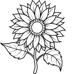 Fototapeta premium Sunflower flower outline illustration coloring book page design, Sunflower flower black and white line art drawing coloring book pages for children and adults