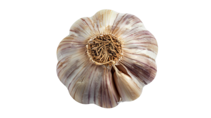 A photo of a garlic bulb.