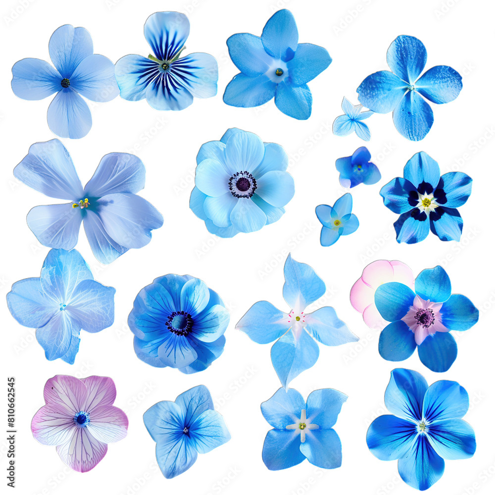 Sticker set of flowers