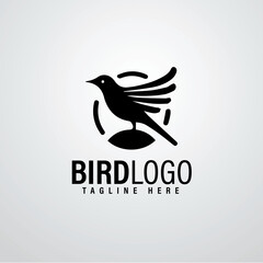 Bird logo designs 