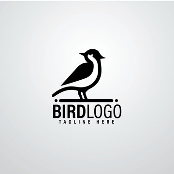 Bird logo designs 