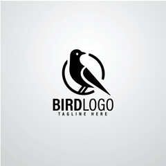 Bird logo designs 