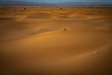 Sahara sands, Morocco