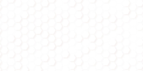 Abstract modern white and grey elegant hexagons background. Hexagon pattern. Vector banner design. 