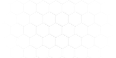 Fototapeta premium Hexagon pattern. Vector banner design. Abstract modern white and grey elegant hexagons background.