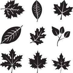 set of leaves