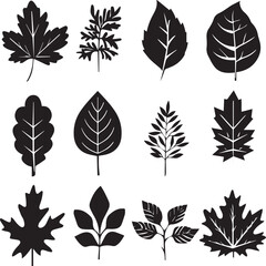 set of leaves