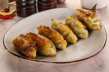 Fried Japanese stuffed dumplings - Gyoza