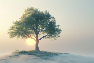 A tree is in the foreground of a foggy, misty landscape