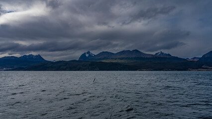 The picturesque snow-capped mountain range is visible from the ocean. Dark clouds in the sky. Seabirds fly over the water. Tierra del Fuego Archipelago. The Beagle Channel. The Andes.