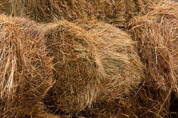 straw, dry straw , vintage style for design.