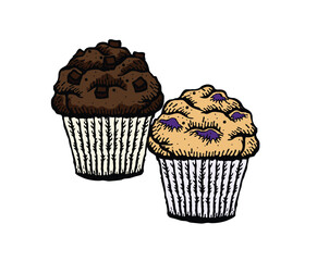 Vector illustration of muffins
