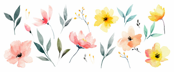 Watercolor flower set. Delicate abstract watercolor flowers and leaves