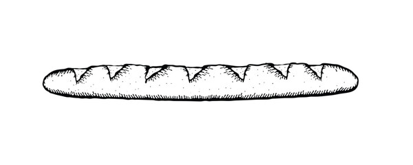 Vector illustration of a baguette