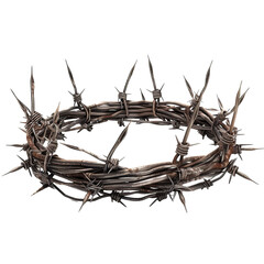Fototapeta premium A crown made of barbed wire isolated on white or transparent background