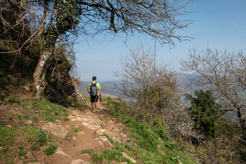 Fototapeta premium Jovem turista a caminhar numa trilha pedregosa na montanha em meio a algum arvoredo