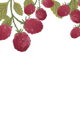raspberry and blackberry