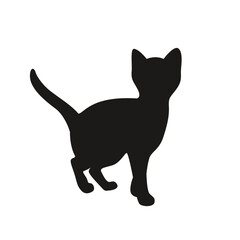 Silhouette of a kitten in vector, flat style.