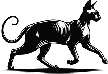 cat silhouette vector