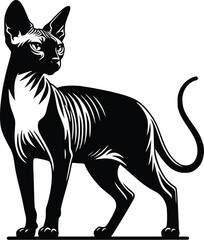 cat silhouette vector