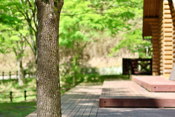 新緑の森とログハウス　ウッドデッキと木漏れ日　さわやかな季節