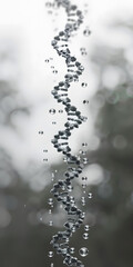 Formação da dupla hélice de DNA por torção de filamentos