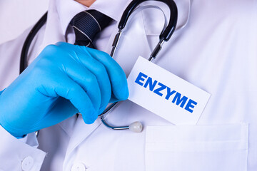 Doctor holding a card with text Enzyme medical concept