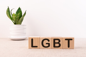 Word LGBT made with wooden building blocks on a light background
