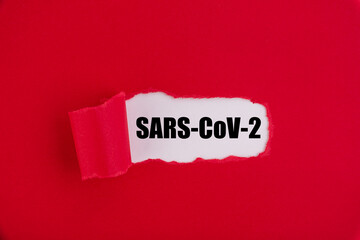 New corona virus, novel Coronavirus 2019 disease, SARS-CoV-2, 2019-nCoV. It SARS like symptom as...