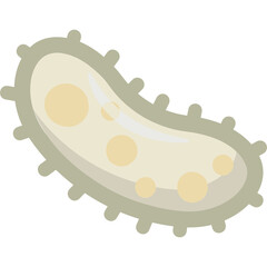 Microbes Bacteria Illustration