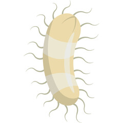 Microbes Bacteria Illustration