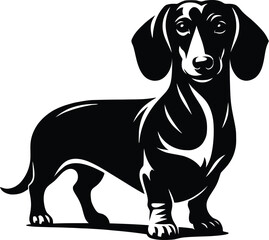 dog breed silhouette  