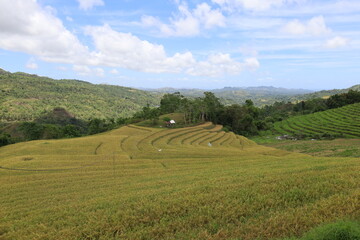 Panorama of Cadapdapan Rice Terraces in Candijay, Bohol, Philippines