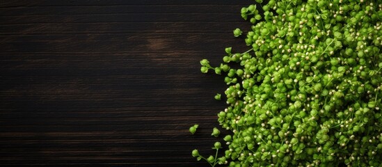 Top view of raw green buckwheat on a black wooden background with plenty of copy space for an image