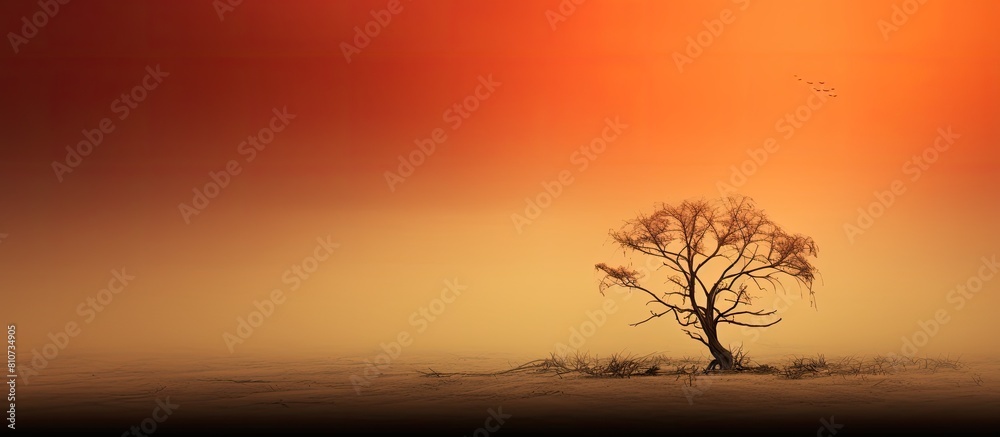 Aufkleber Nature provides an abstract and captivating backdrop for various subjects and themes The copy space image allows for creative use of negative space and adds depth to the composition