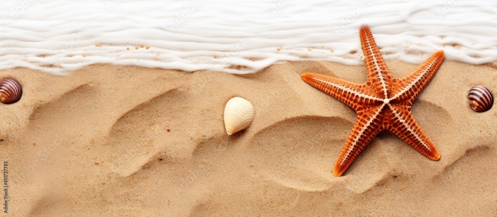 Poster a starfish is seen in a border design on a sandy beach with a copy space image it is isolated agains