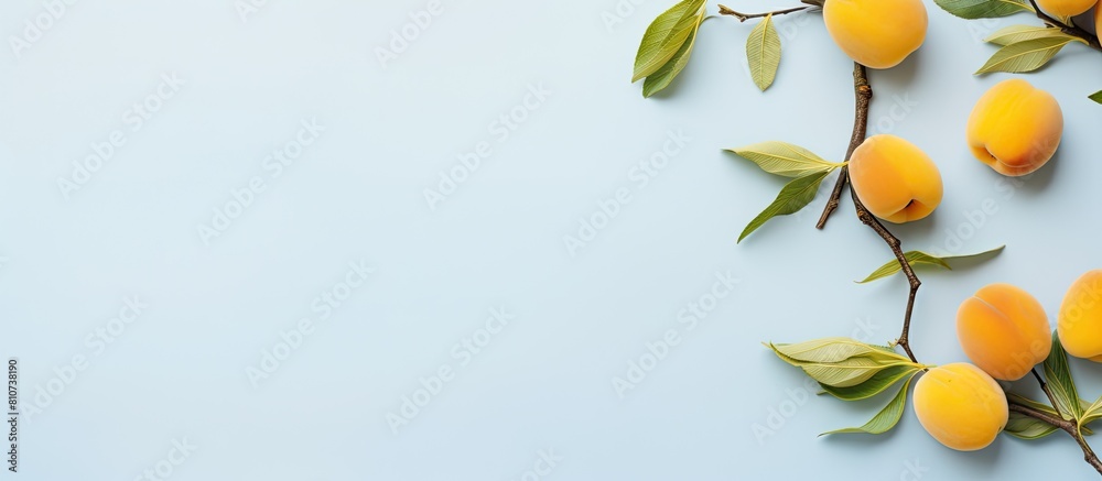 Fototapete a top down view of a flat lay arrangement featuring two branches with yellow leaves and plums on a l