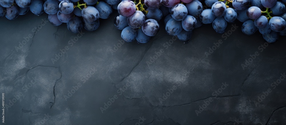 Poster The top view shows a collection of plump ripe blue grapes resting on a dark scratched surface in this copy space image