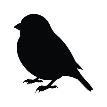 recommend clip art: silhouette of a animal Sparrow