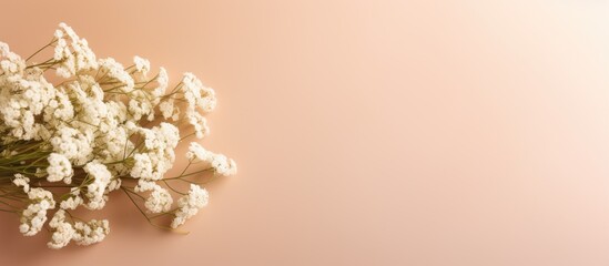 A lovely Women s Day gift with delicate gypsophila flowers against a beige background Perfect for a beautiful copy space image